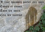 LeDictonduMardi-.jpeg
