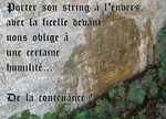 LeDictonduJeudi...jpeg